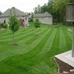 Lawn Care Darien CT